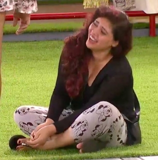 Sherin Shringar feet photo 14