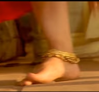 Sherin Shringar feet photo 2