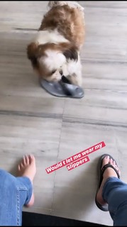 Sherin Shringar feet photo 8