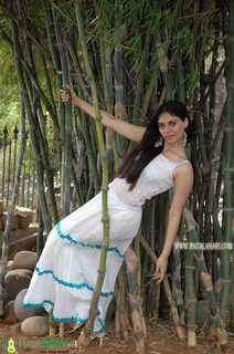 Sherin Shringar feet photo 9