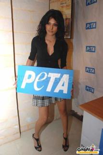 Sherlyn Chopra feet photo thumbnail