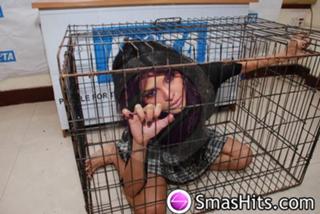 Sherlyn Chopra feet photo thumbnail