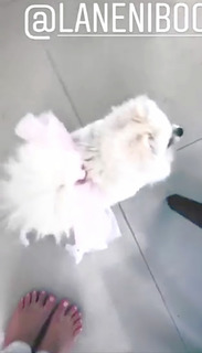 Sherlyn feet photo thumbnail