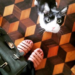 Sheron Menezzes feet photo 12