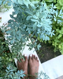 Sheron Menezzes feet photo 9