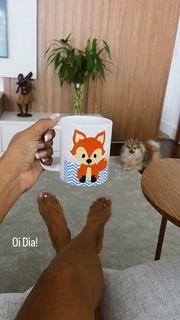Sheron Menezzes feet photo 19