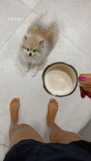Sheron Menezzes feet photo 8