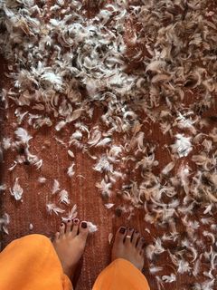 Sheron Menezzes feet photo 9