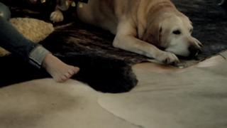 Sheryl Crow feet photo thumbnail