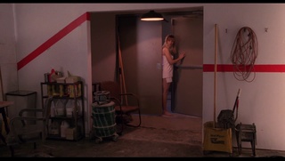 Sheryl Lee feet photo 16