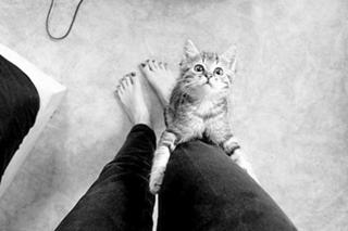 Sheryl Rubio Rojas feet photo 18