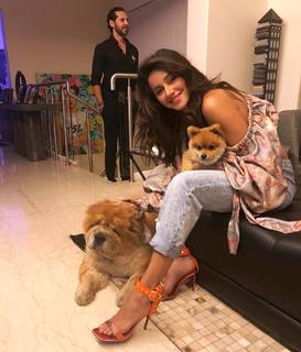 Shibani Dandekar feet photo 17