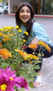 Shilpa Shetty Kundra feet photo thumbnail