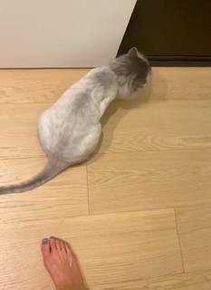 Shin-Hye Park feet photo thumbnail