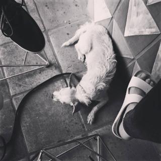 Shirley Manson feet photo thumbnail