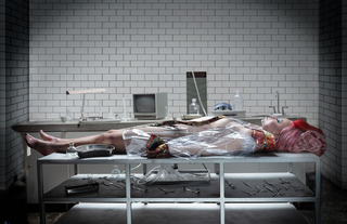 Shirley Manson feet photo thumbnail