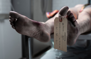 Shirley Manson feet photo thumbnail