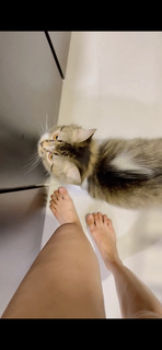 Shirley Setia feet photo 11