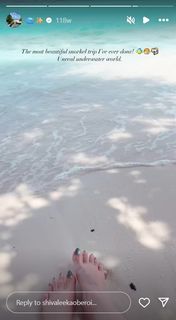 Shivaleeka Oberoi feet photo 20