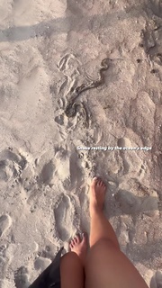Shivangi Verma feet photo 2