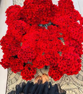 Shorena Begashvili feet photo 1