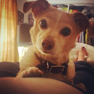 Shoshannah Stern feet photo 19
