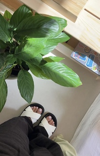 Shouq Mohammed feet photo 8