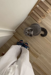 Shouq Mohammed feet photo 4