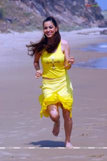 Shraddha Arya feet photo thumbnail