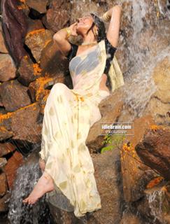 Shraddha Arya feet photo thumbnail