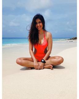 Shreya Dhanwanthary feet photo 13