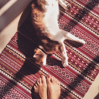 Shriya Pilgaonkar feet photo 2