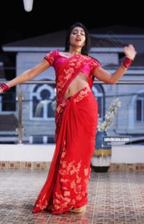 Shriya Saran feet photo thumbnail
