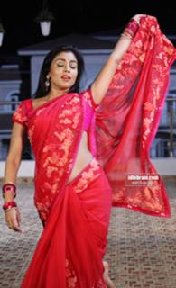 Shriya Saran feet photo thumbnail