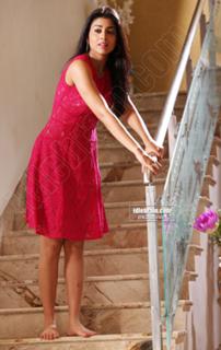 Shriya Saran feet photo thumbnail