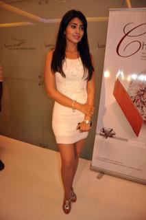 Shriya Saran feet photo thumbnail