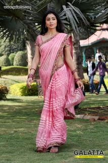 Shriya Saran feet photo thumbnail
