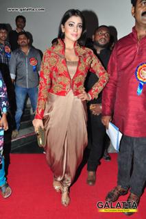 Shriya Saran feet photo thumbnail