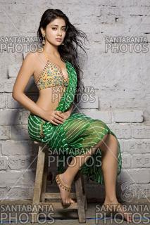 Shriya Saran feet photo thumbnail