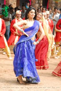 Shriya Saran feet photo thumbnail
