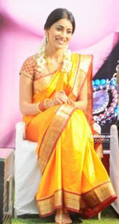 Shriya Saran feet photo thumbnail