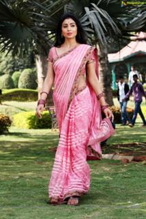 Shriya Saran feet photo thumbnail