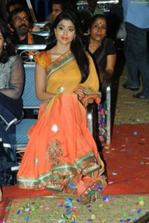 Shriya Saran feet photo thumbnail