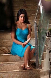 Shriya Saran feet photo thumbnail