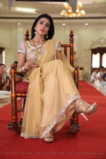 Shriya Saran feet photo thumbnail