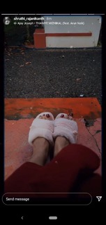 Shruthi Rajanikanth feet photo 14