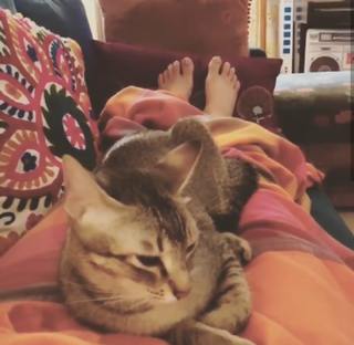 Shruti Haasan feet photo thumbnail