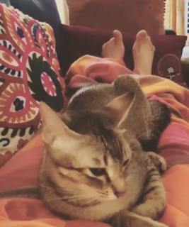 Shruti Haasan feet photo thumbnail