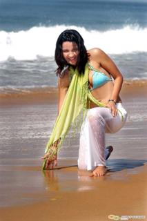Shruti Seth feet photo 11