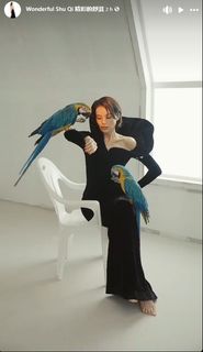 Shu Qi feet photo 12
